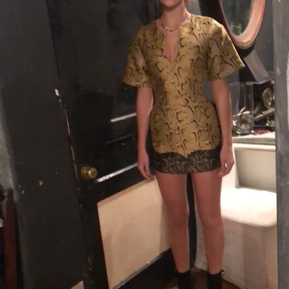 Stella McCartney PARTY Snakeskin Print Dress, SZ 36 - Picture 4 of 15